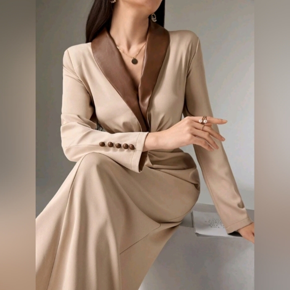 Women Contrast Color Twist Design Elegant Long Sleeve Dress - Picture 6 of 6